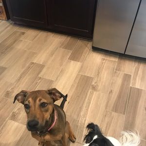 Meet your Posher, Stacy